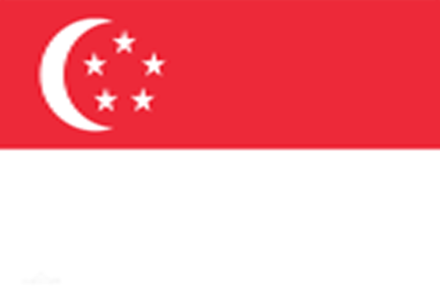 新加坡旅游签证