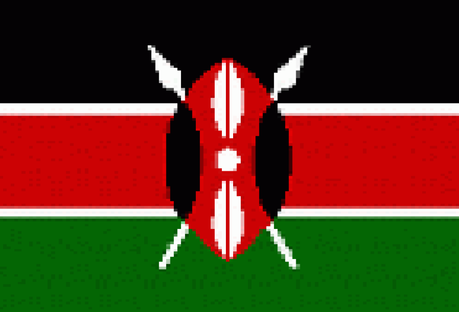 肯尼亚商务签证