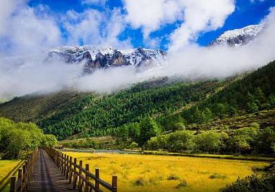 稻城亚丁为什么这么出名