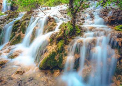 成都报团去九寨沟哪个旅行社好？